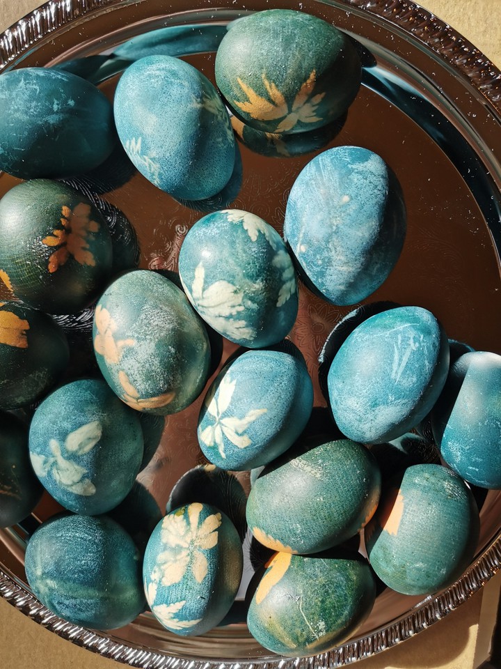 Blue eggs