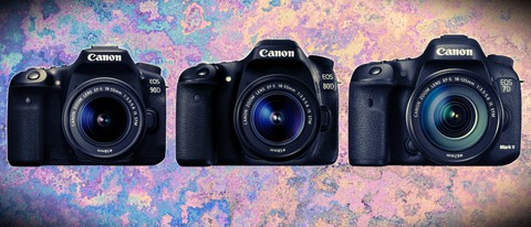 Canon EOS 90D vs EOS 80D vs EOS 7D Mark II