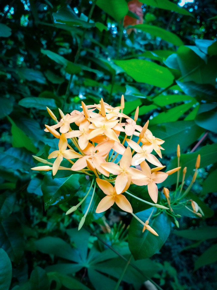 MY CLICKS , NATURE'S CALL??