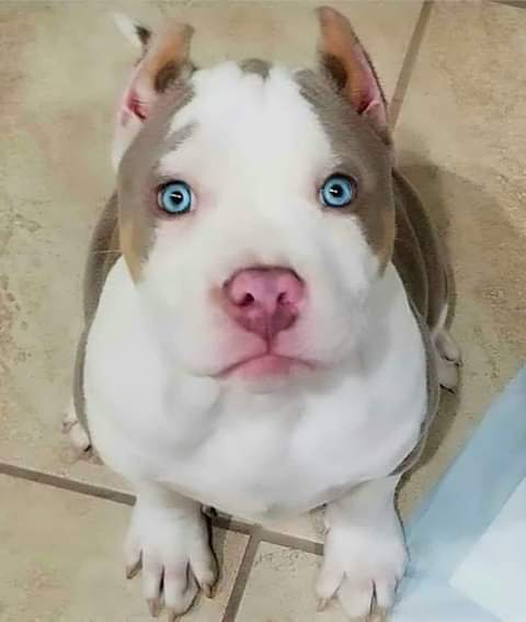 *