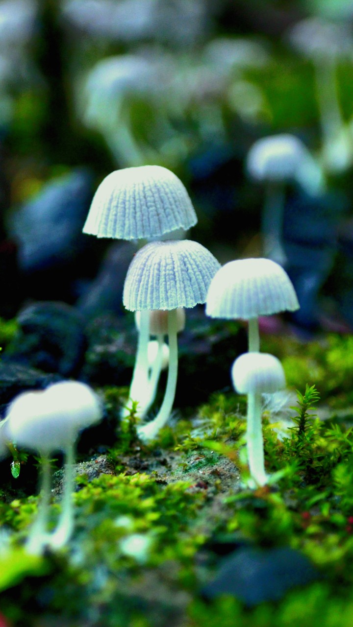 Beauty of mother nature