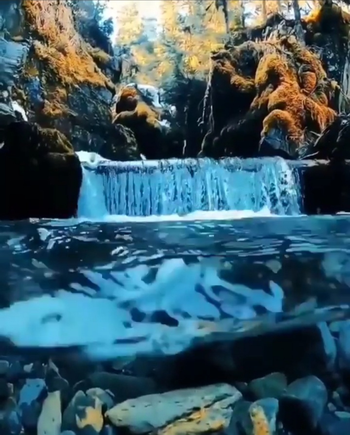 ?