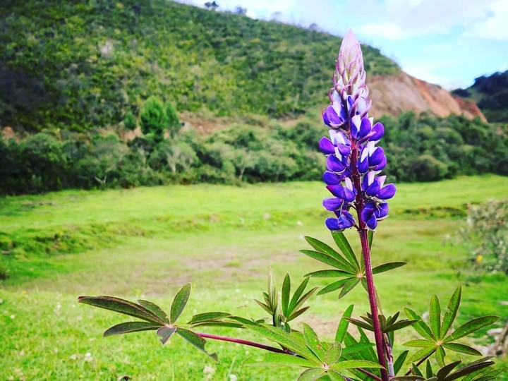 Huaylla Belén - Perú