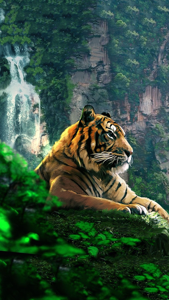 um tigre livre
