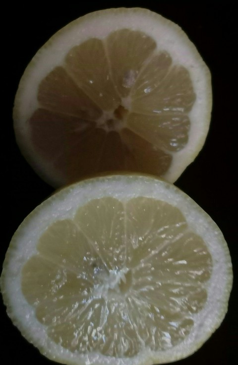 lemon