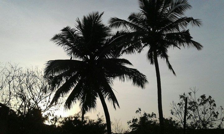 sun set