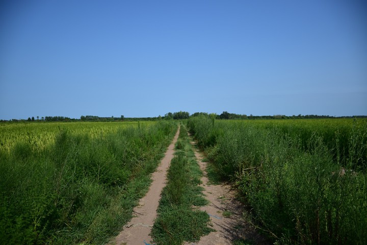 beautiful road