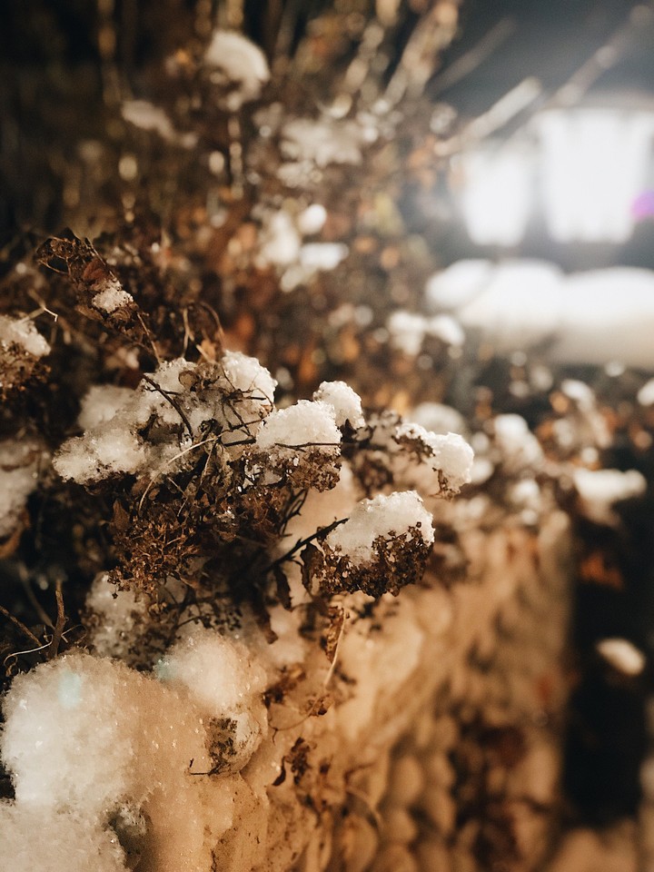 Winter