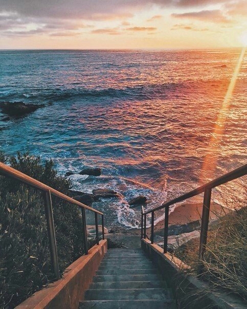 〰 life 〰