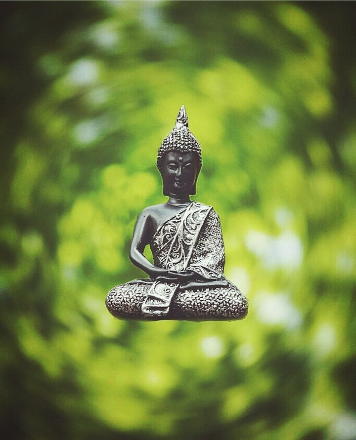 Lord buddha