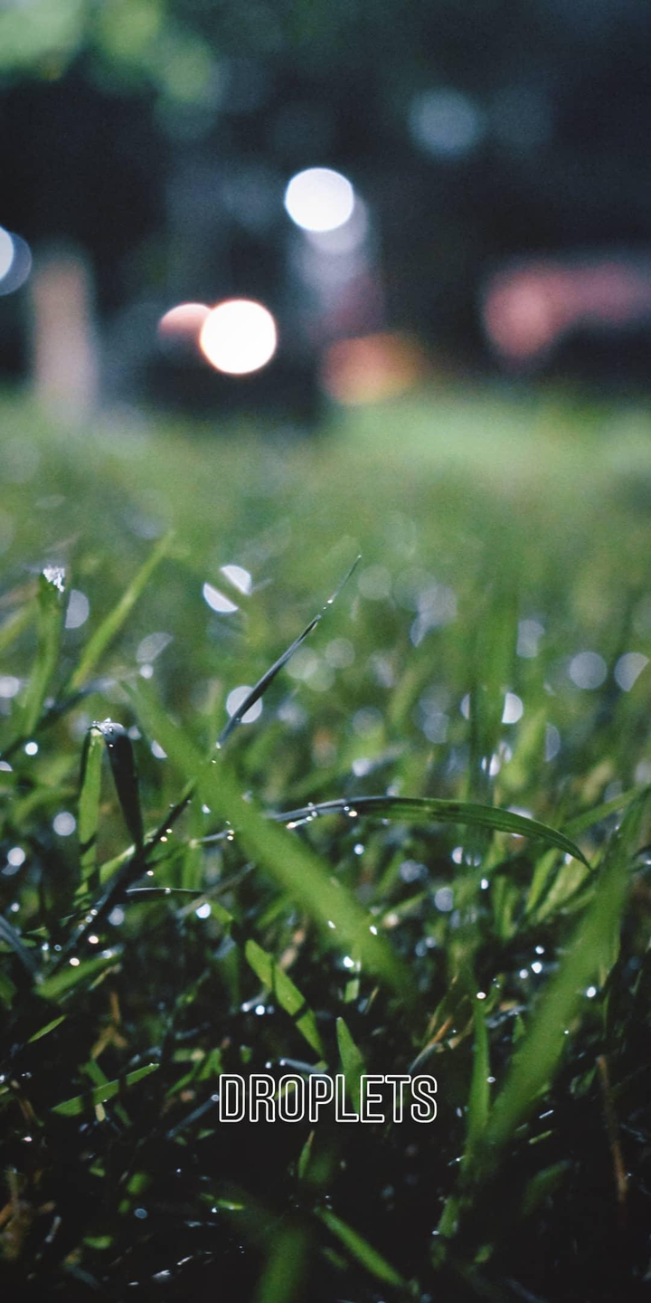 Rain Droplets
