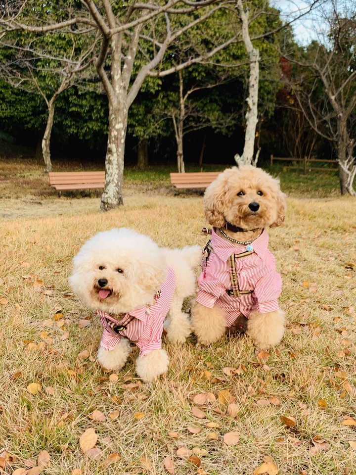 Lucky & Money