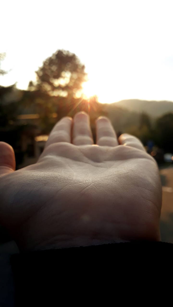 sunlight