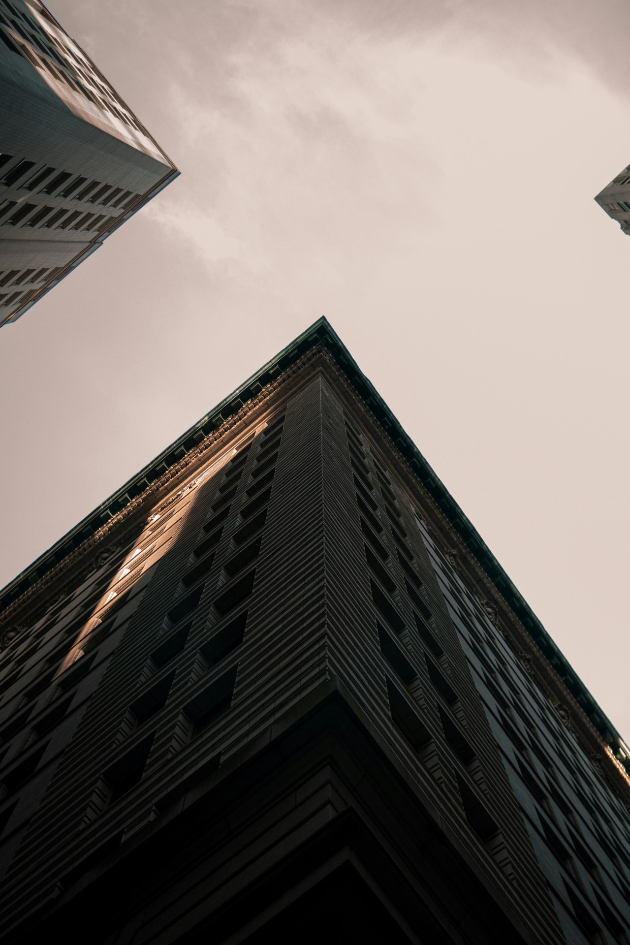 tapety Building, Photograph