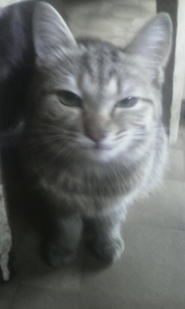 ^_^ = like