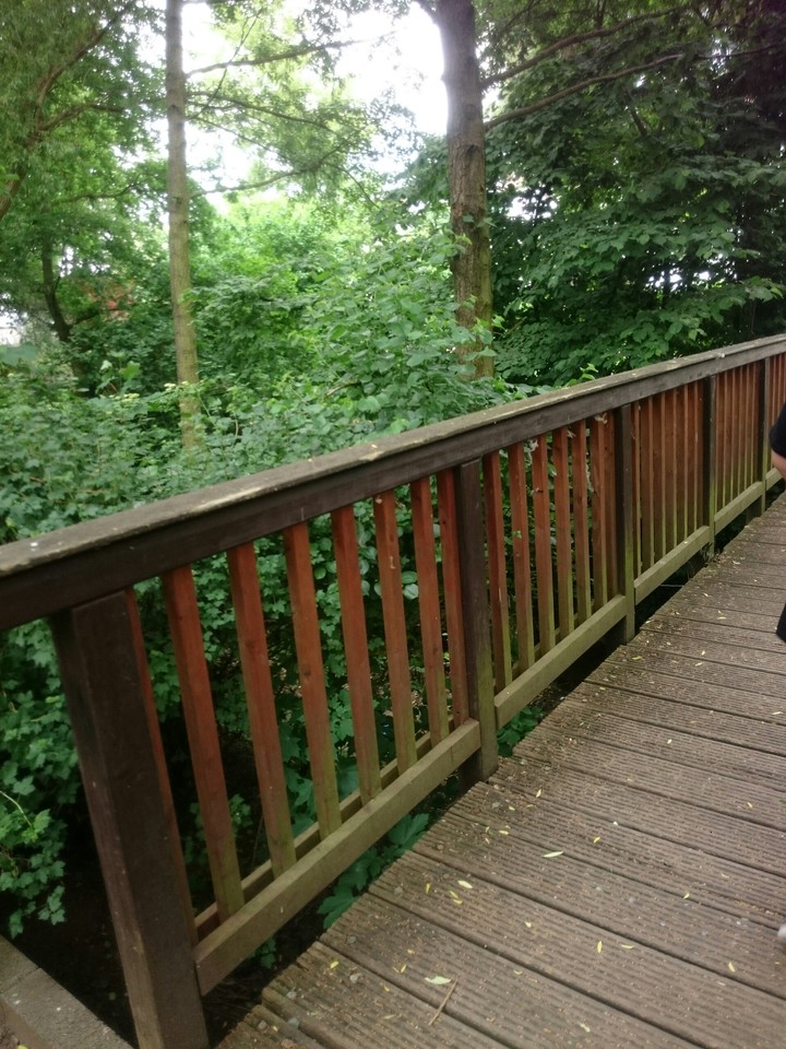 bridge