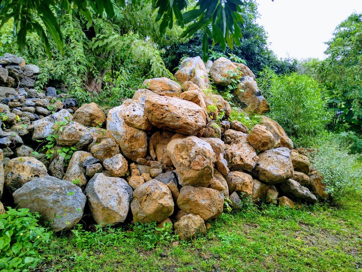Piedras y vegetación