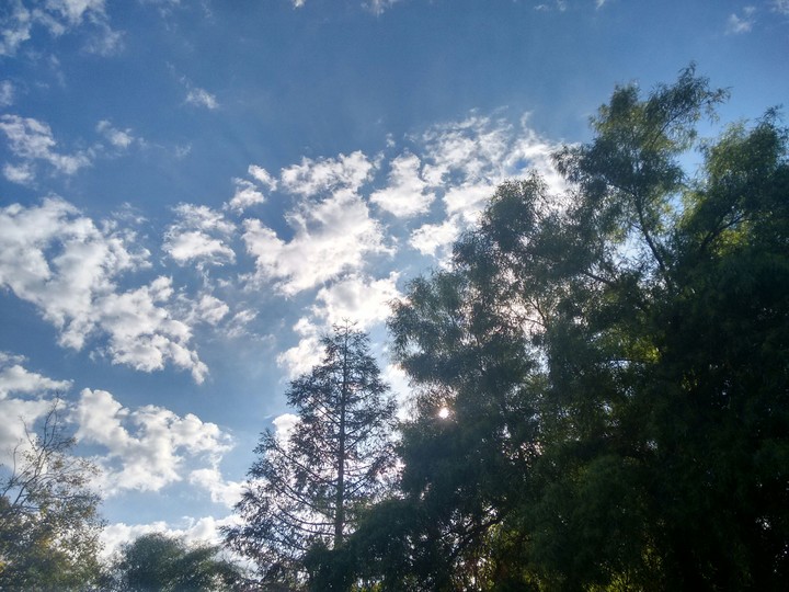 Fall Sunlight