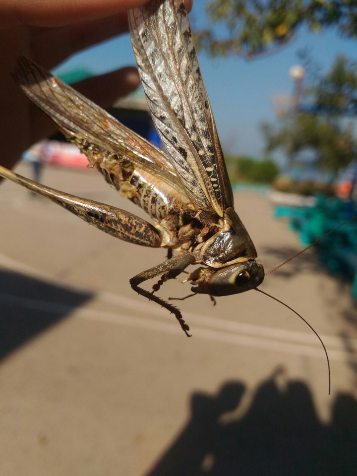 детально