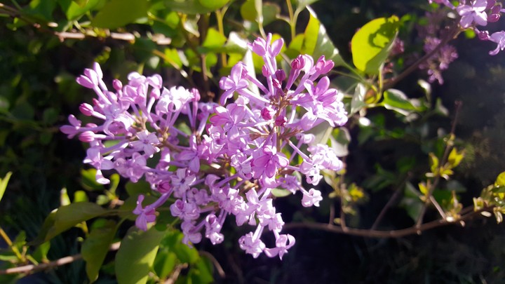 No effect