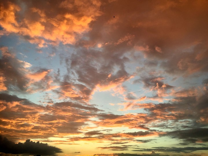 Golden dusk
