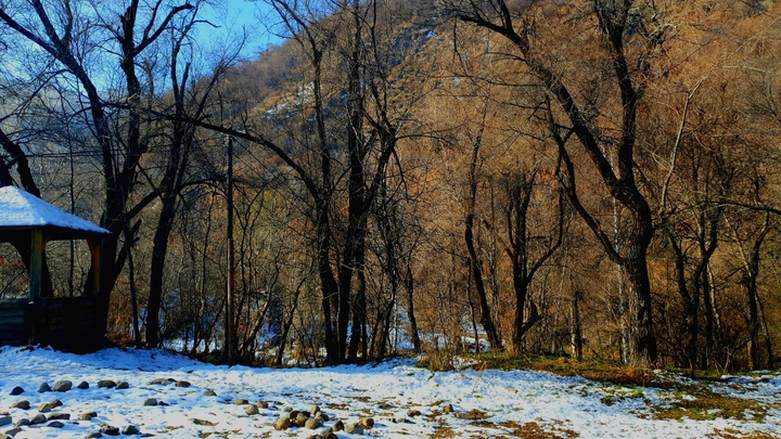 осень