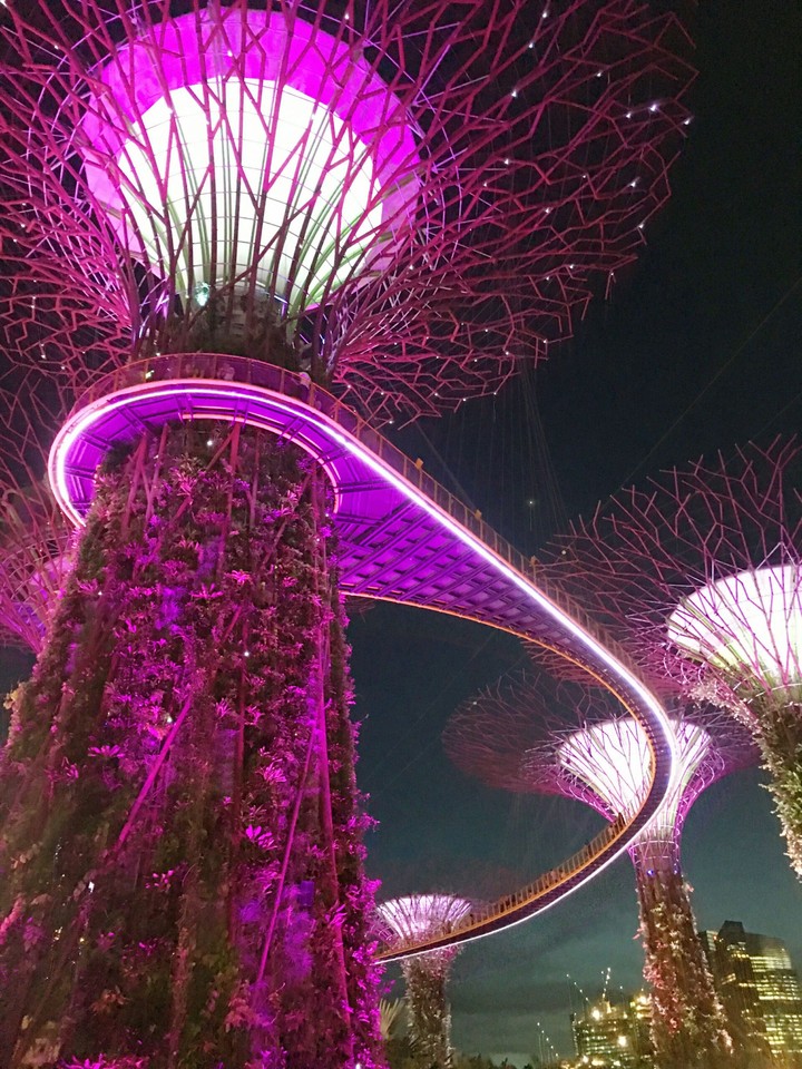 singapore