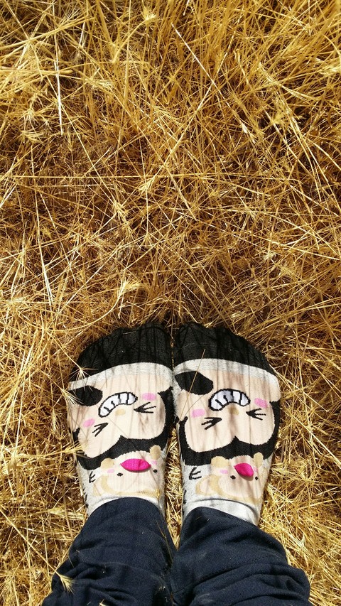 cute socks