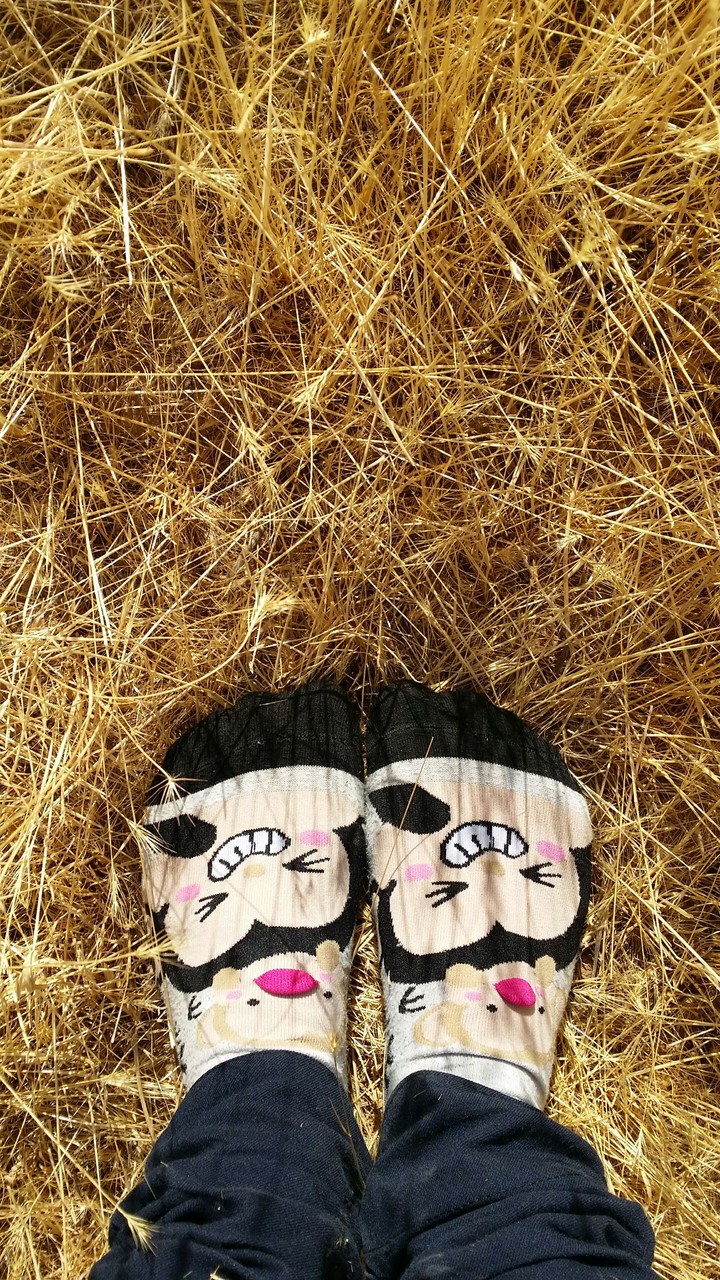 cute  socks