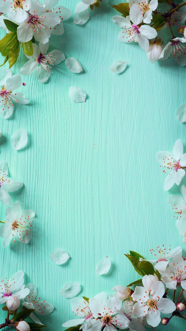 spring
