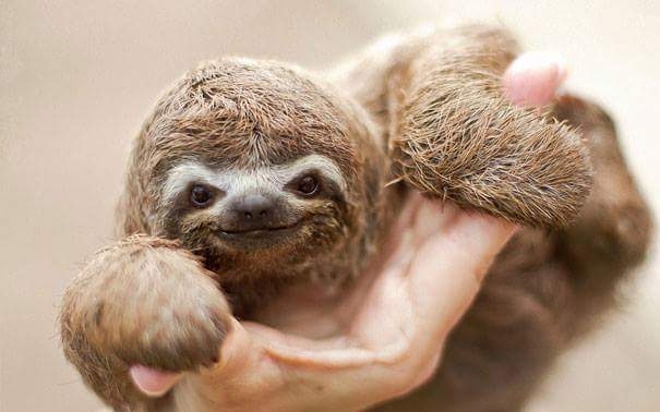 cute