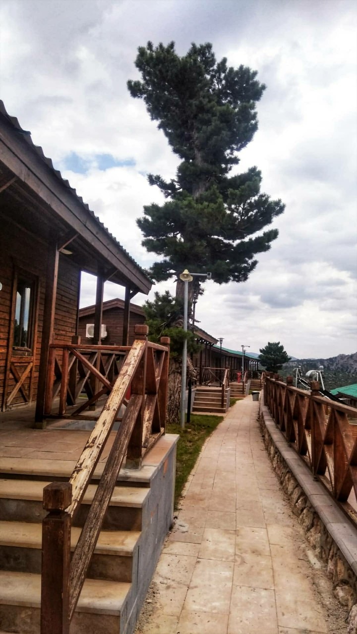 Taşkent