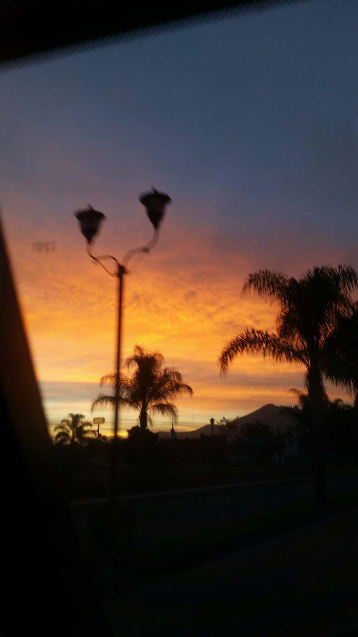 Shaders