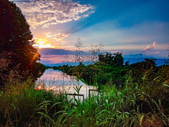 Nature