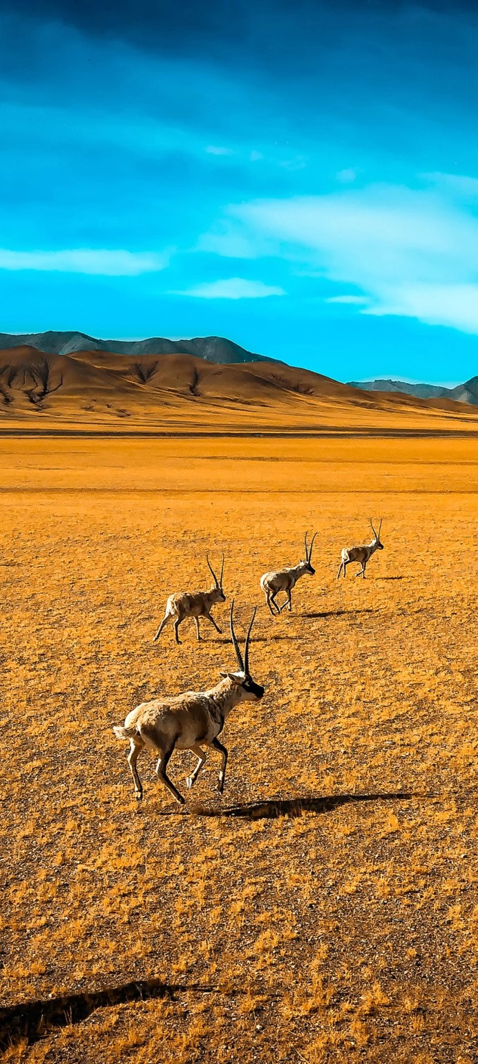 Nature