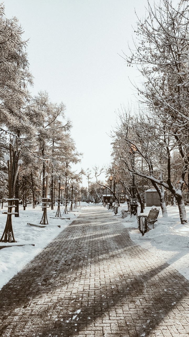 улица