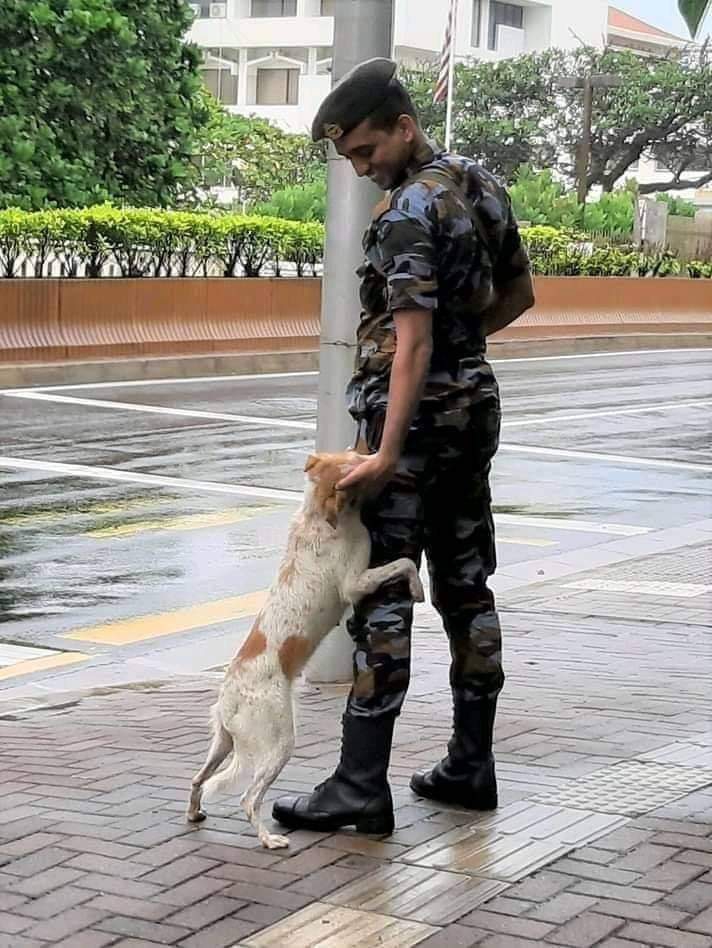 srilankan hero