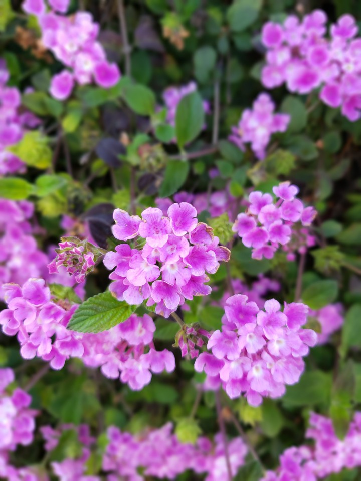 spring is in the air