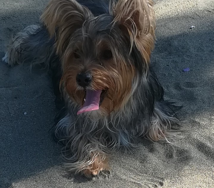 bingo in spiaggia