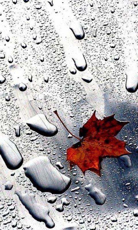 rain