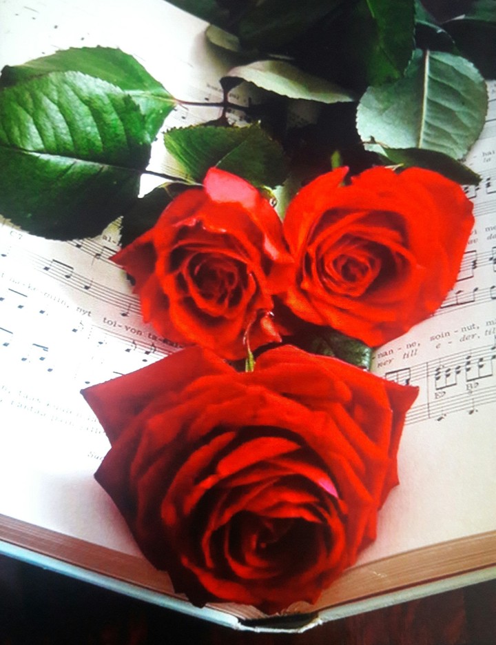 My Valentine