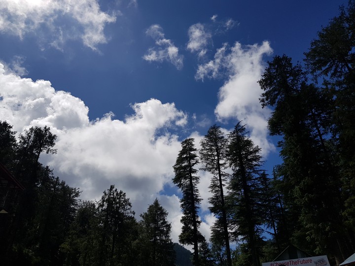 sach pass