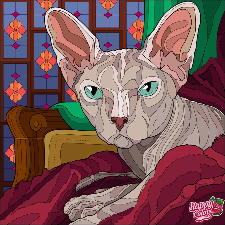 кот