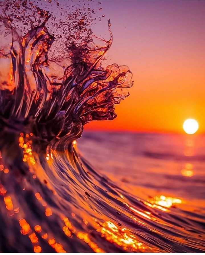 glowing sunset,beautifully captured