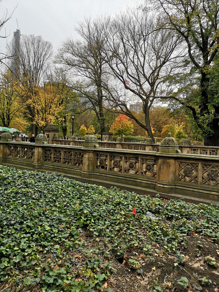 Central park