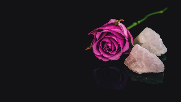rose