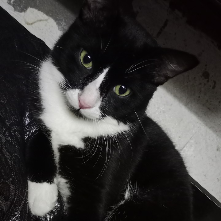 tilu