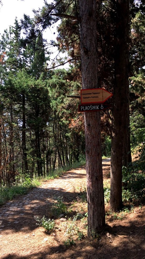 explore