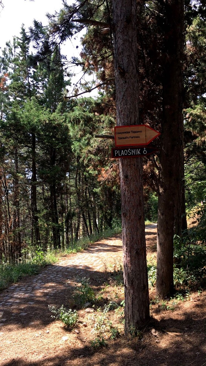 explore