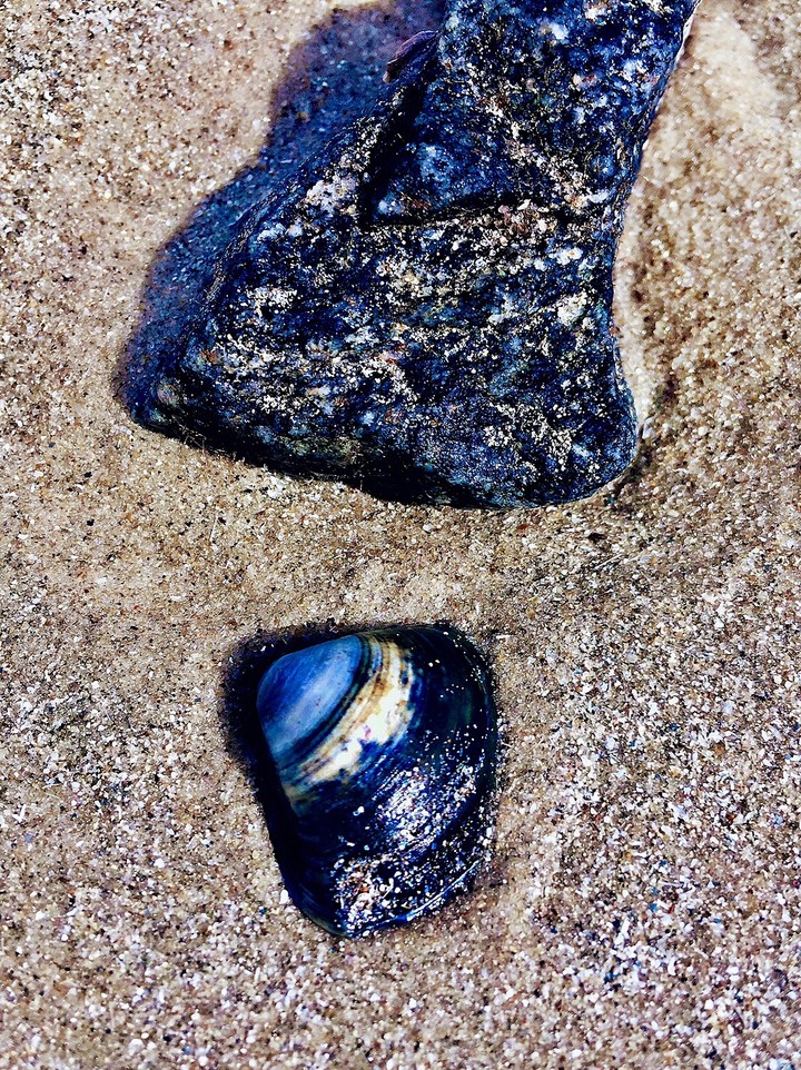 Brazilian Beach